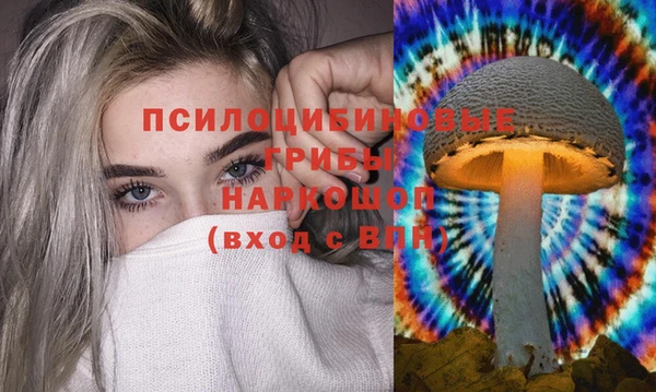 spice Магас